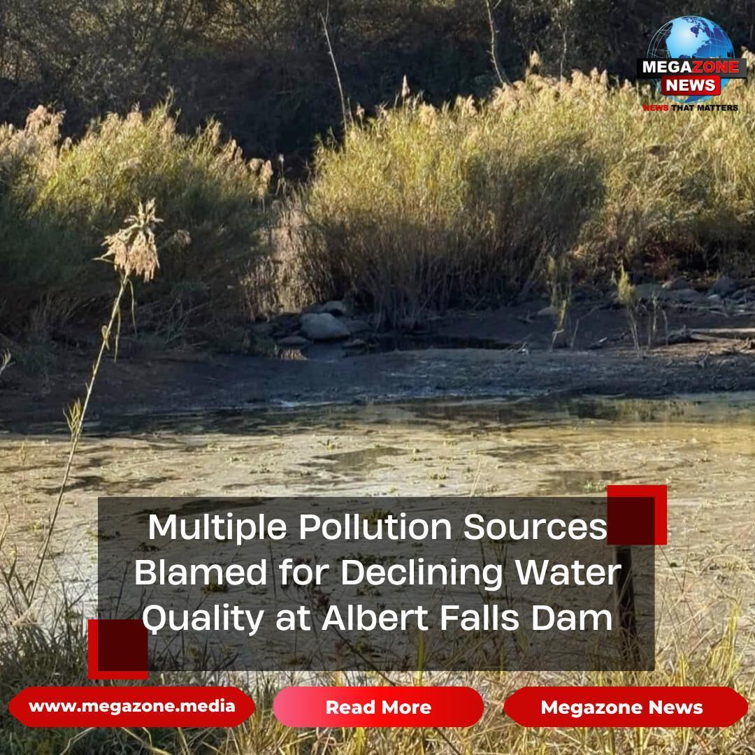 Multiple Pollution Sources Blamed for Declining Water Quality at Albert Falls Dam