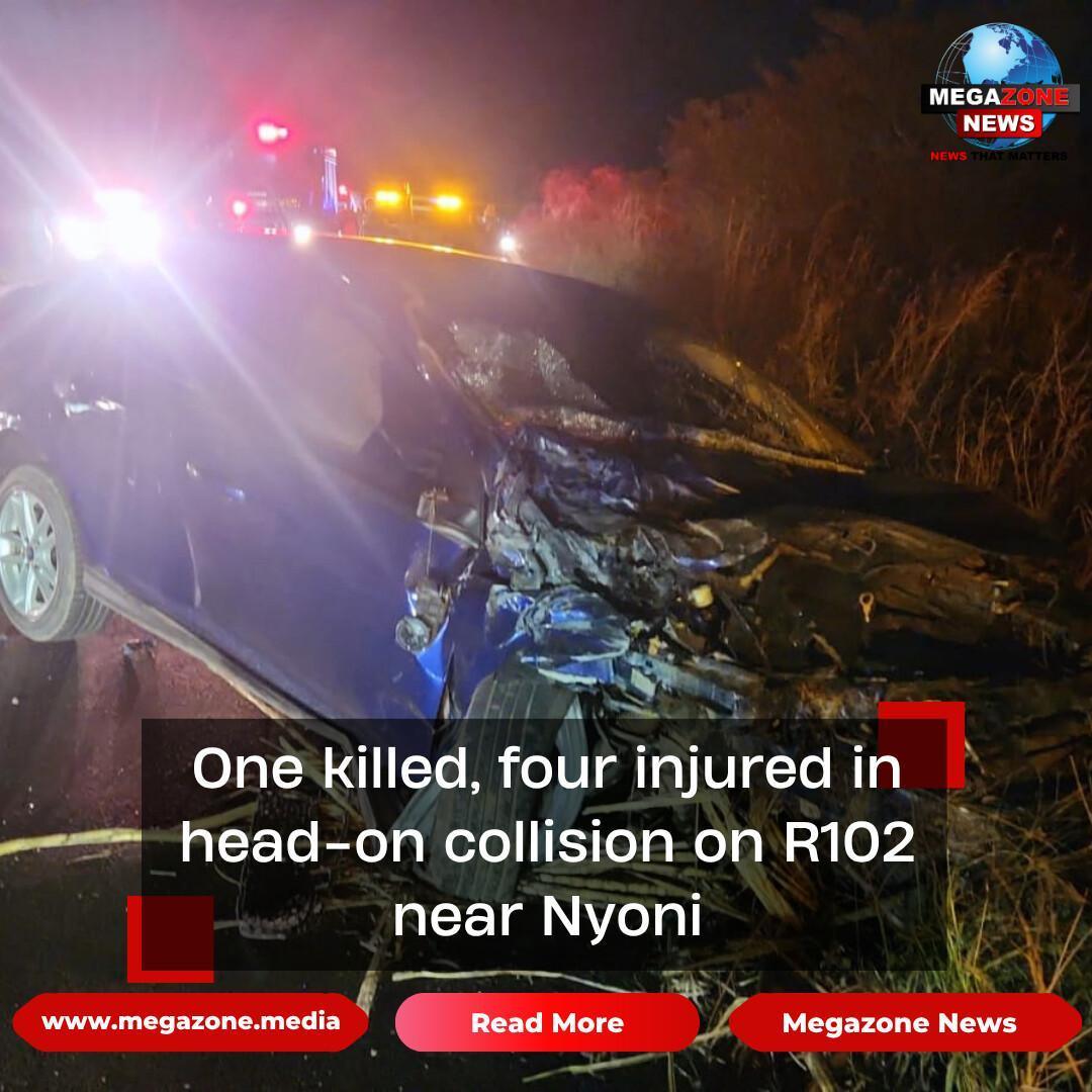 One killed, four injured in head-on collision on R102 near Nyoni