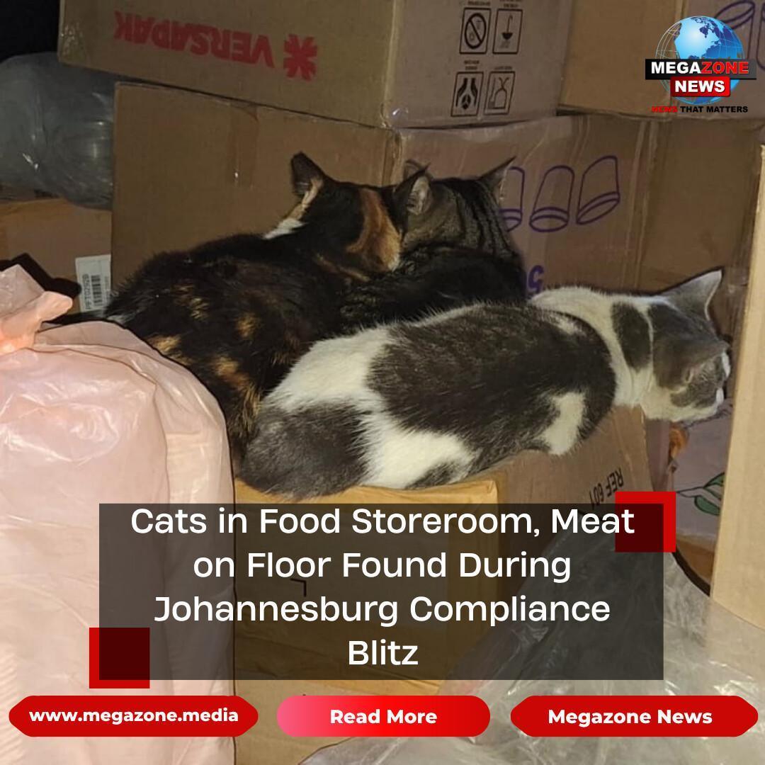 Cats in Food Storeroom, Meat on Floor Found During Johannesburg Compliance Blitz Cats in Food Storeroom, Meat on Floor Found During Johannesburg Compliance Blitz