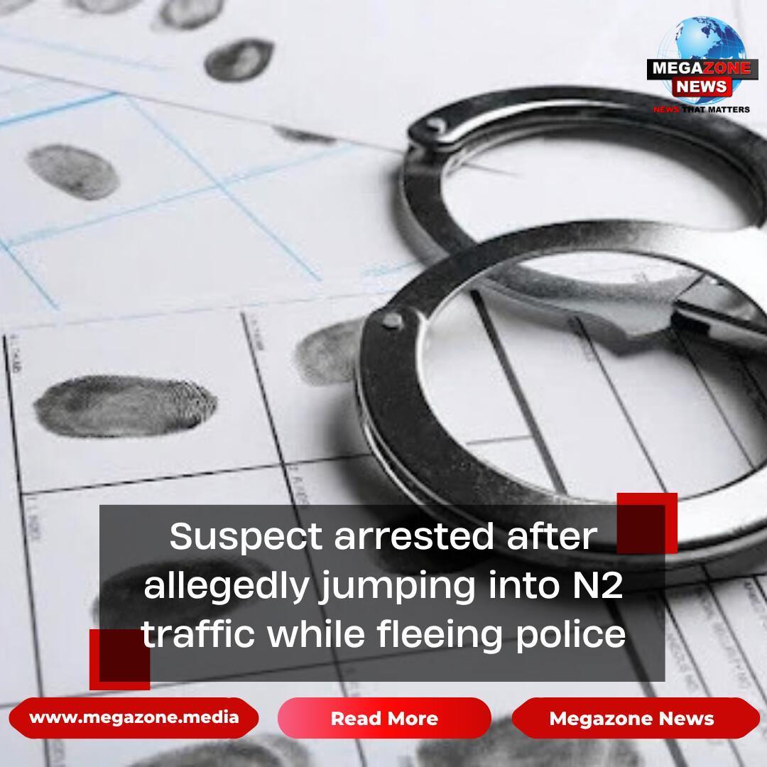 Suspect arrested after allegedly jumping into N2 traffic while fleeing police