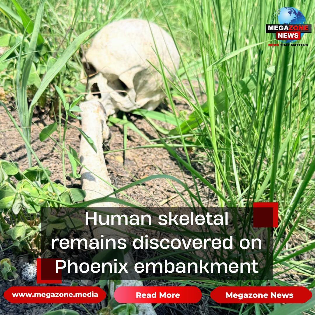 Human skeletal remains discovered on Phoenix embankment Human skeletal remains discovered on Phoenix embankment