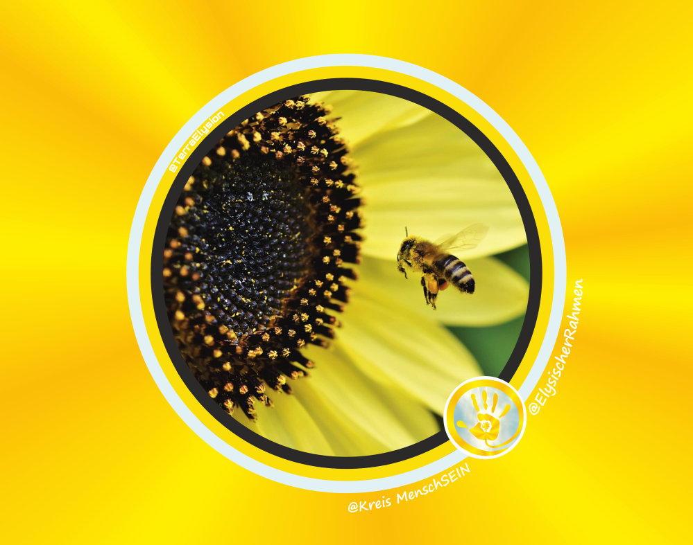 Elysische Rahmen Biene Sonnenblume 1