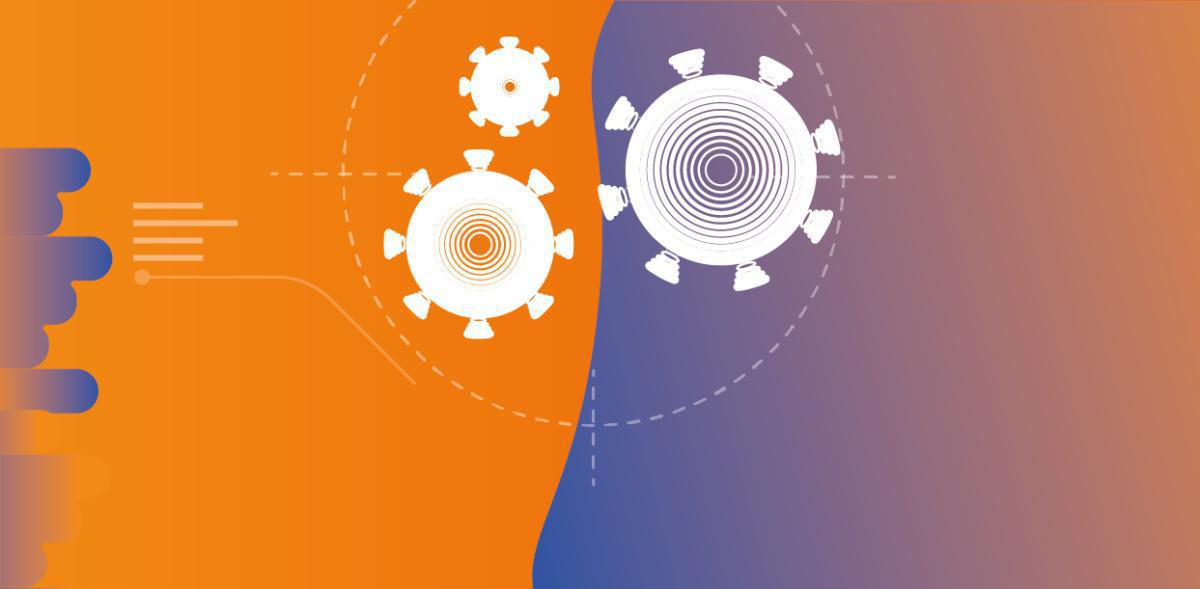 Disinfezione Disinfezione