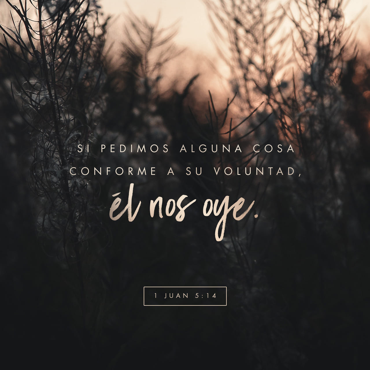 1 Juan 5:14