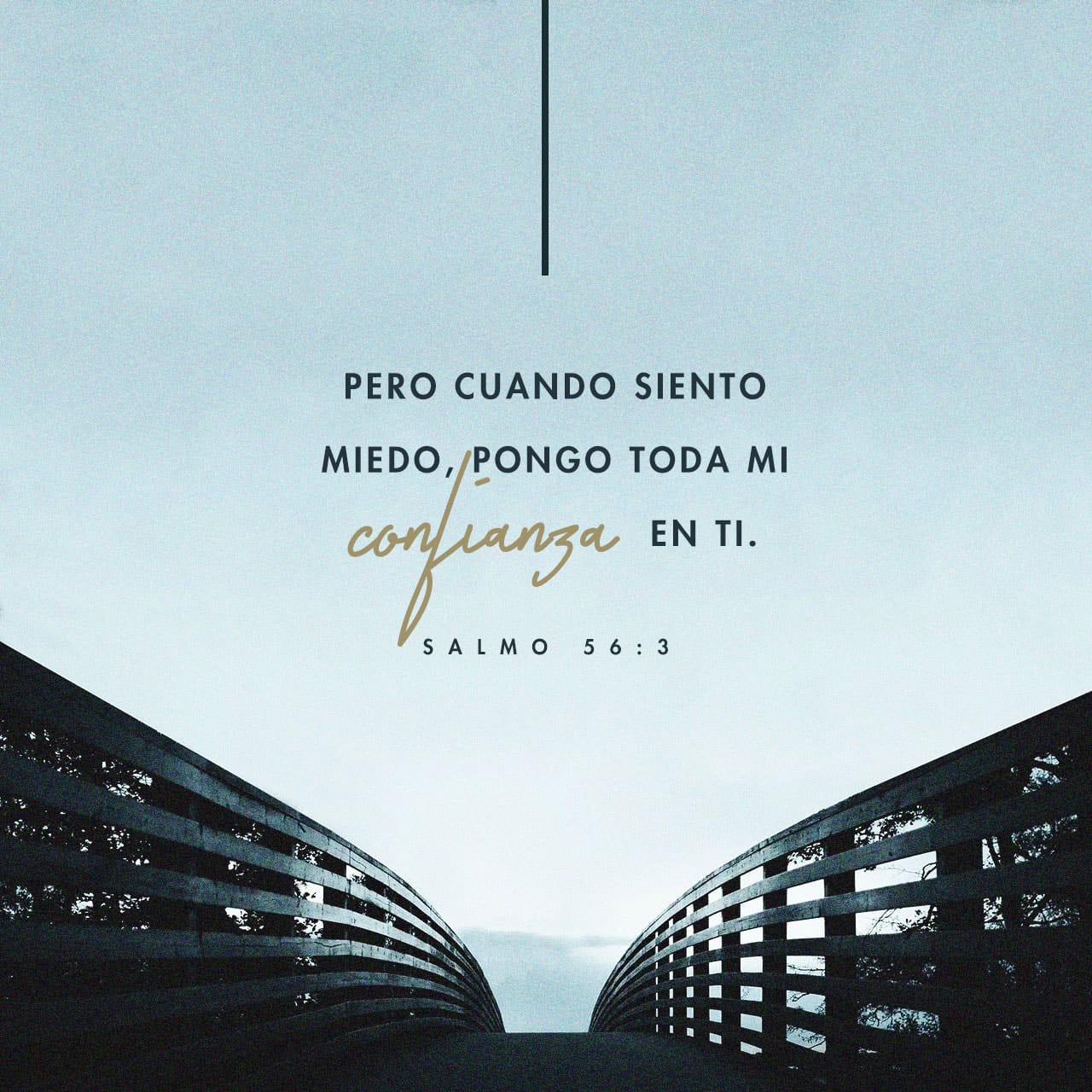 Salmo 56:3