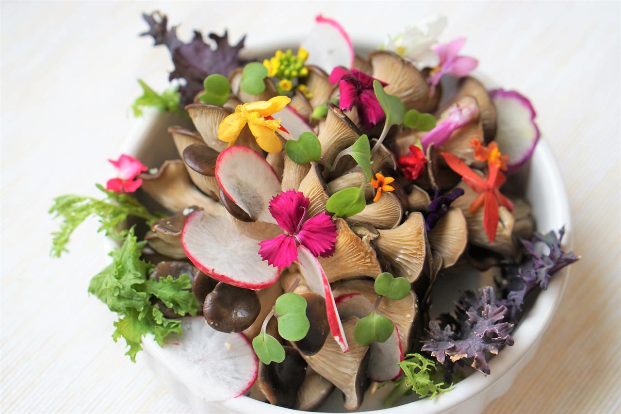 mushrooms and microgreens and flowers