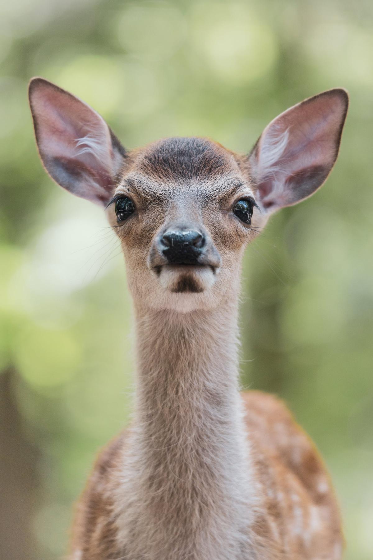 Copie de À propos d'Onaturo Copie de À propos d'Onaturo