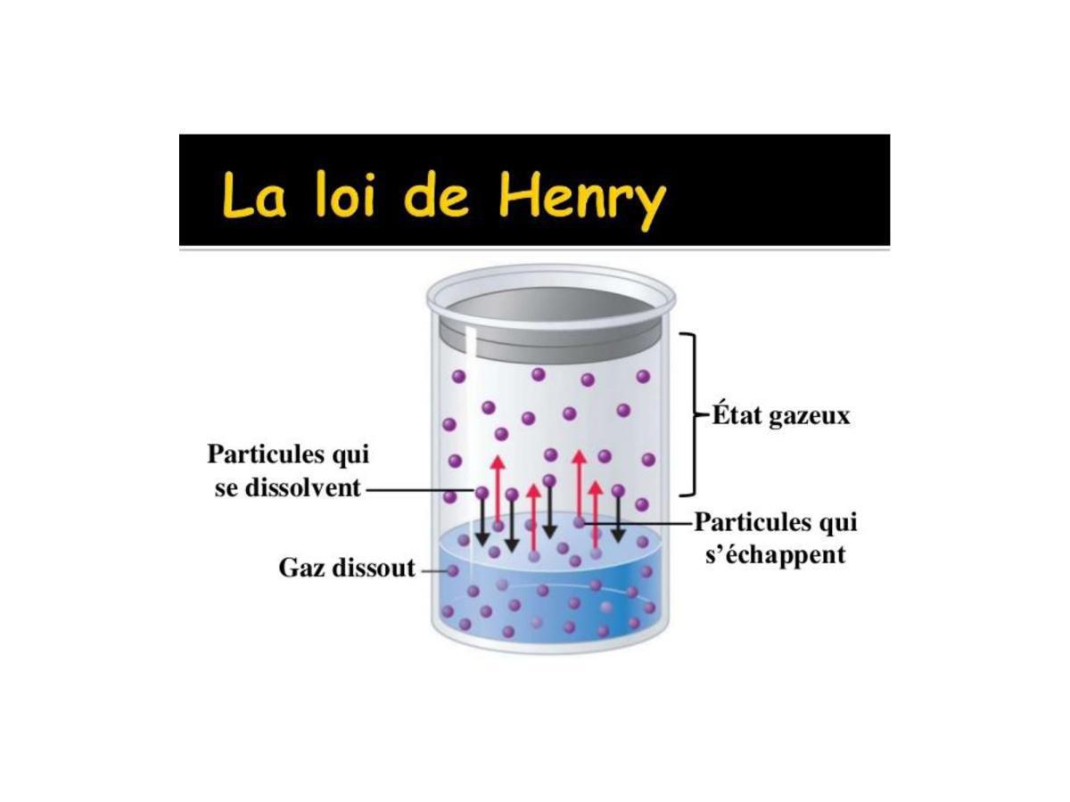 Accident de plongée (FMPA 2022)