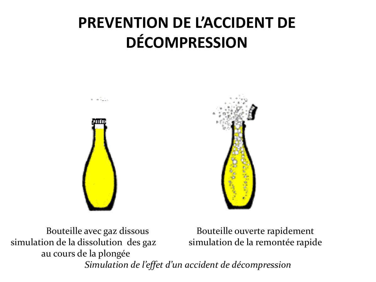Accident de plongée (FMPA 2022)