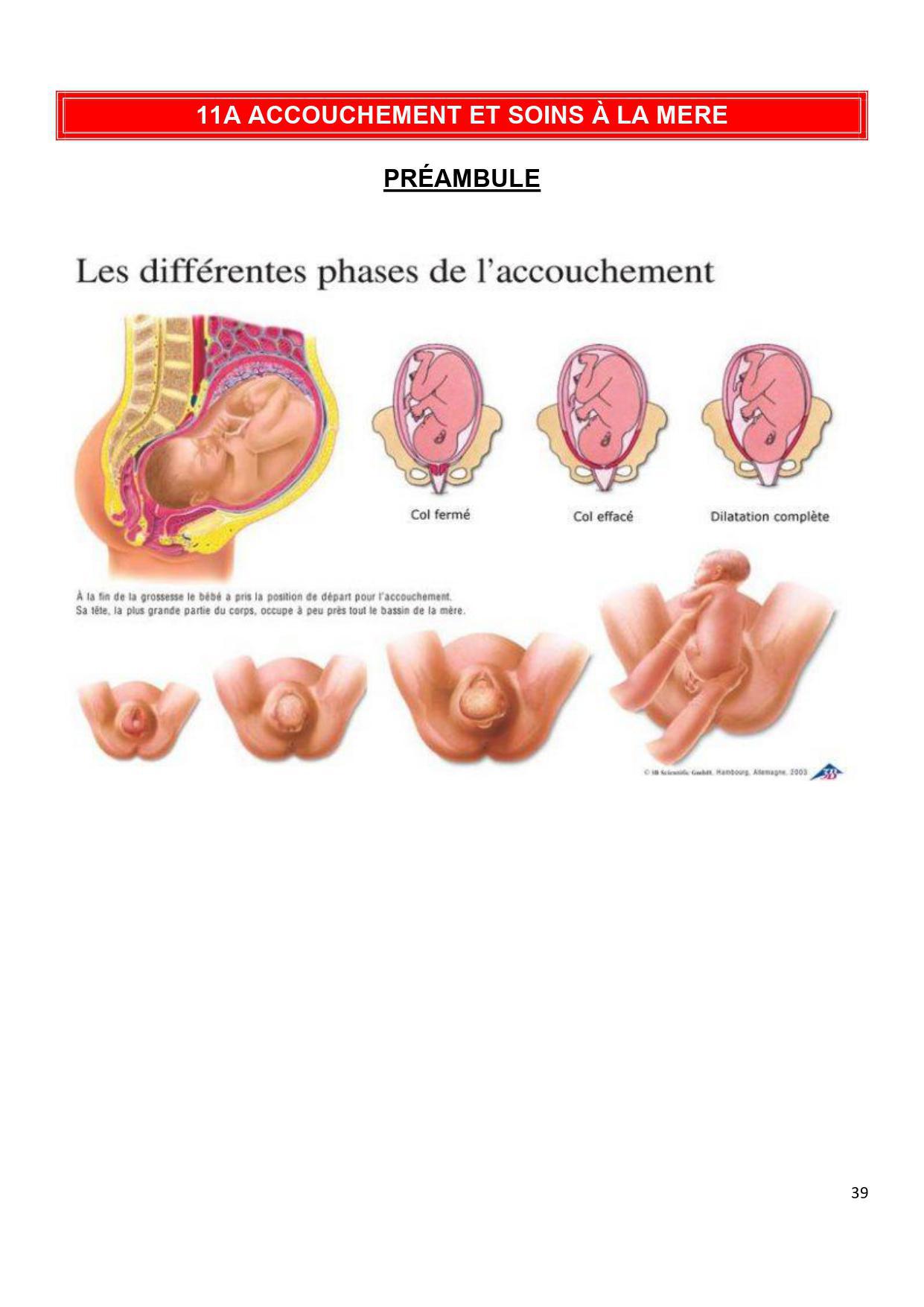 Préambule