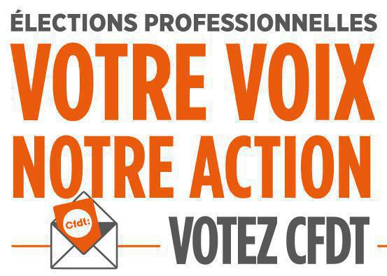 SED Dijon : Profession de foi election Novembre 2023