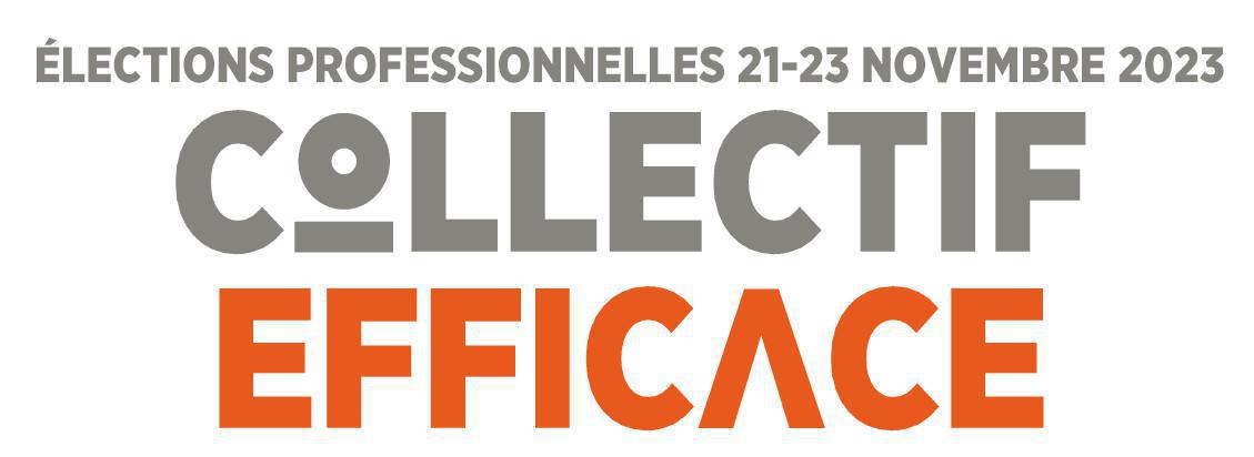 SED Massy : Vos Candidats Election CSE SED Massy : Vos Candidats Election CSE