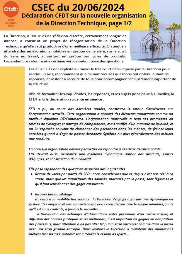 SED CSEC 20 juin 2024 : Declaration CFDT Reorganisation DT