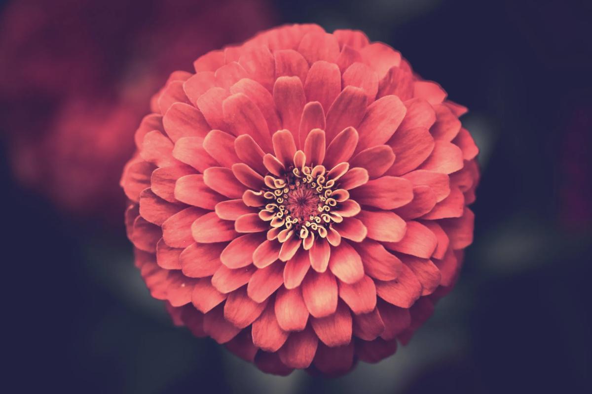 Nos valeurs Nos valeurs