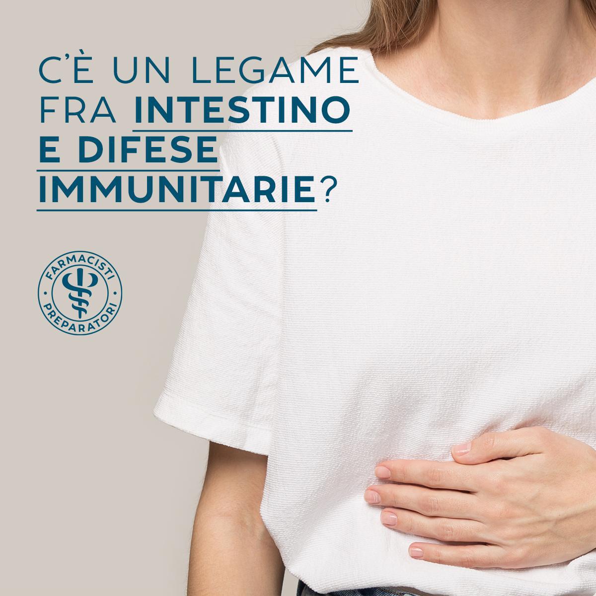 C'è un legame tra intestino e difese immunitarie?