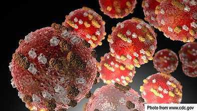 Prevent the Spread of Measles with the MMR Vaccine Prevent the Spread of Measles with the MMR Vaccine