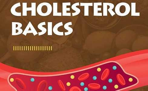 Learn the Basics of Cholesterol