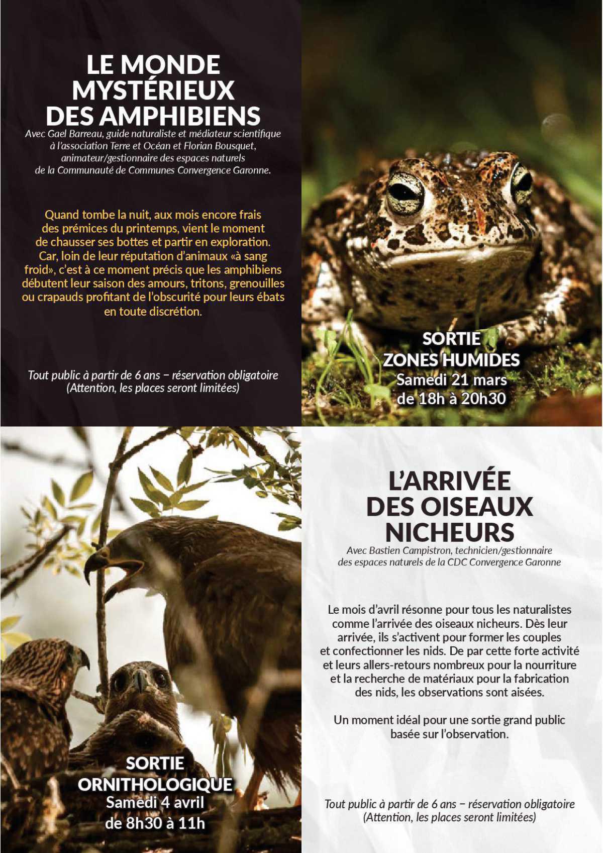 L'ile de Raymond L'ile de Raymond