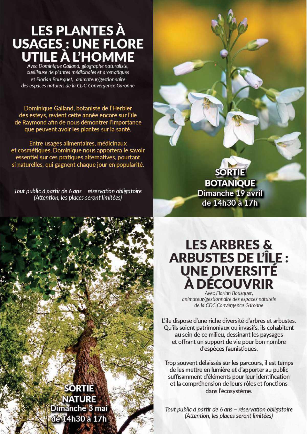 L'ile de Raymond L'ile de Raymond