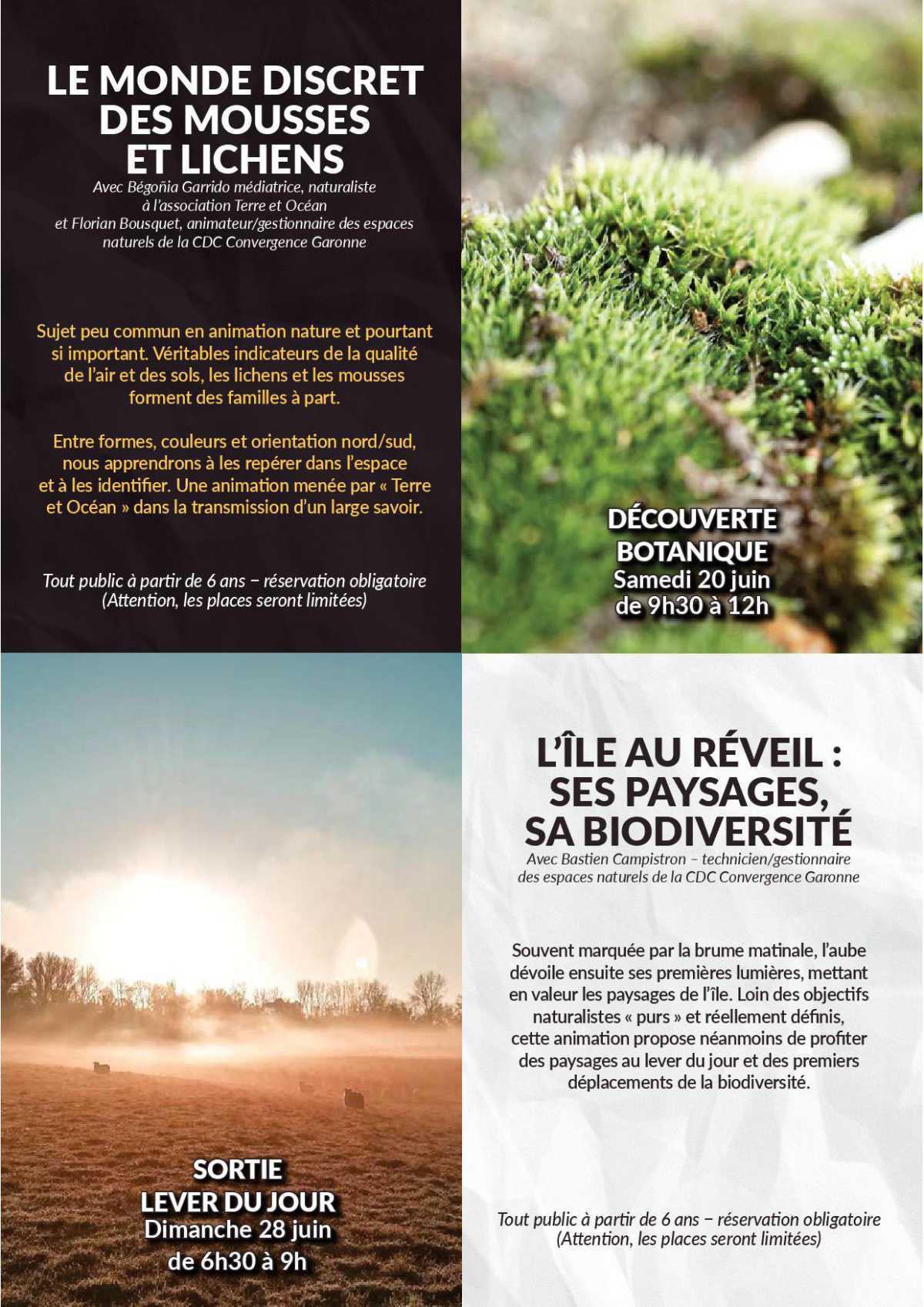 L'ile de Raymond L'ile de Raymond