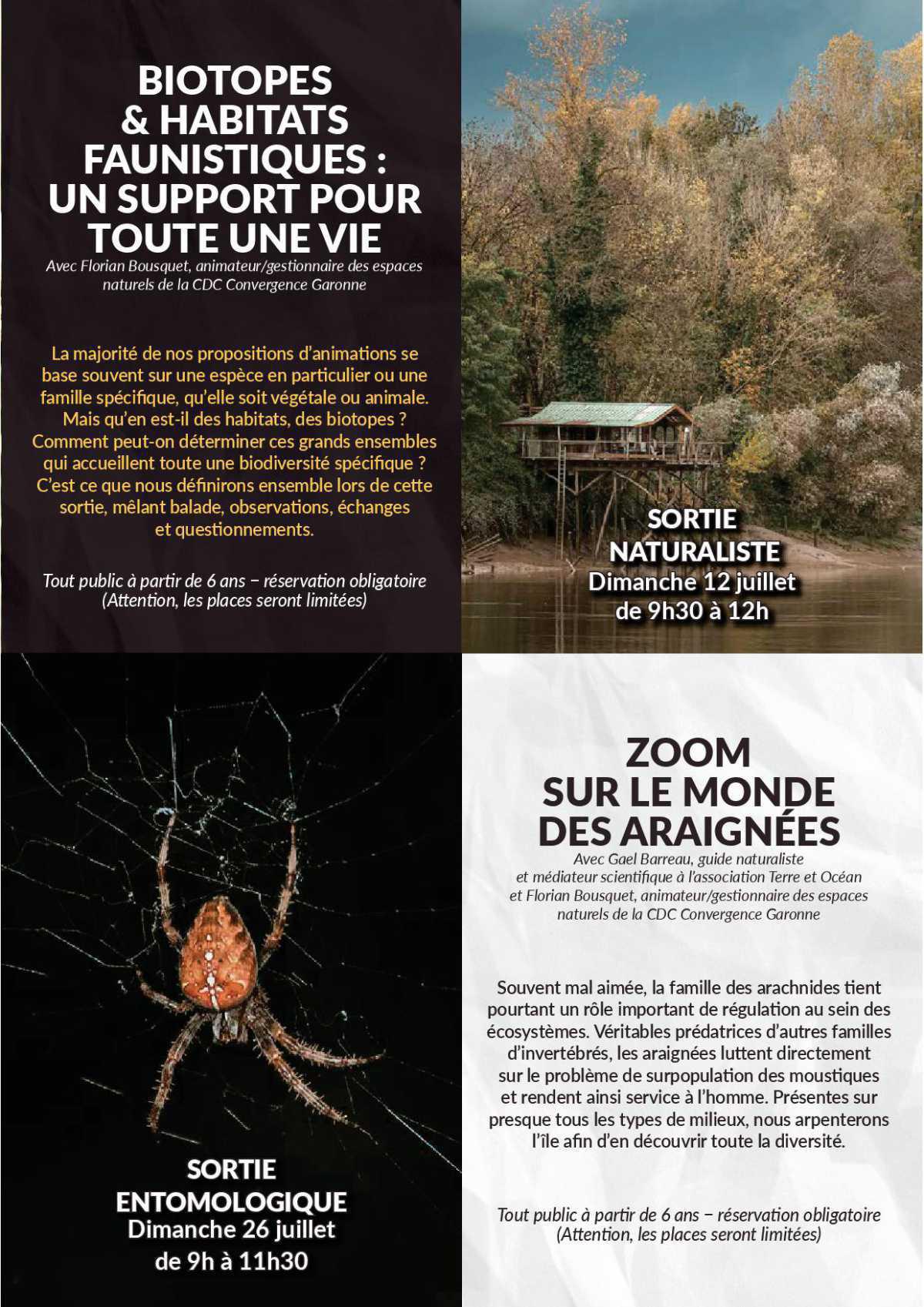 L'ile de Raymond L'ile de Raymond