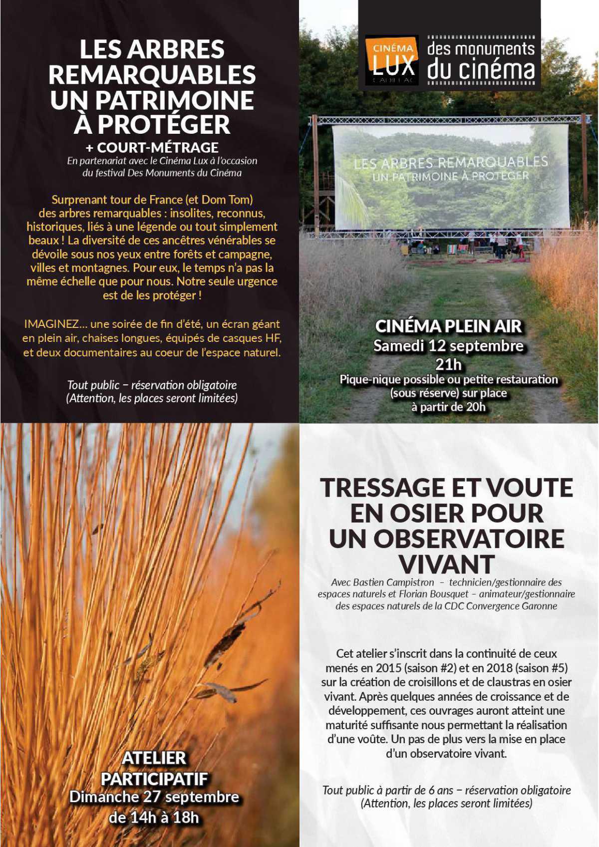 L'ile de Raymond L'ile de Raymond