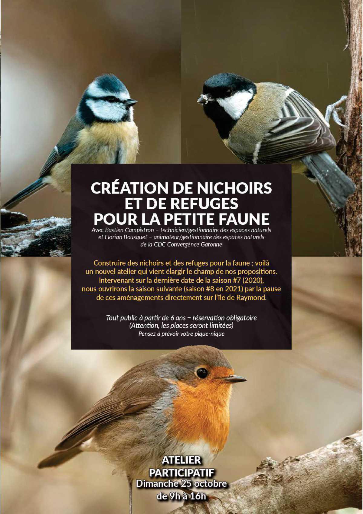 L'ile de Raymond L'ile de Raymond