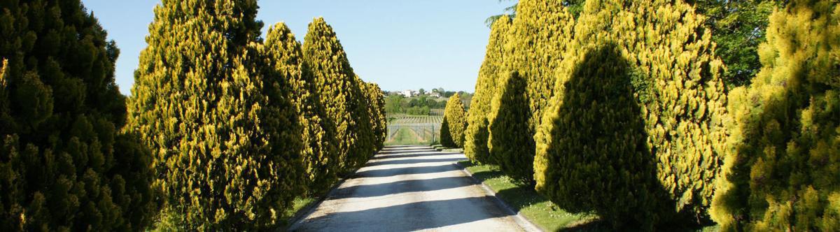 Où dormir ? Où dormir ?