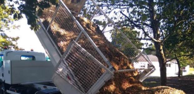 Multi-usage du broyat : écologique, pratique et gratuit ! Multi-usage du broyat : écologique, pratique et gratuit !