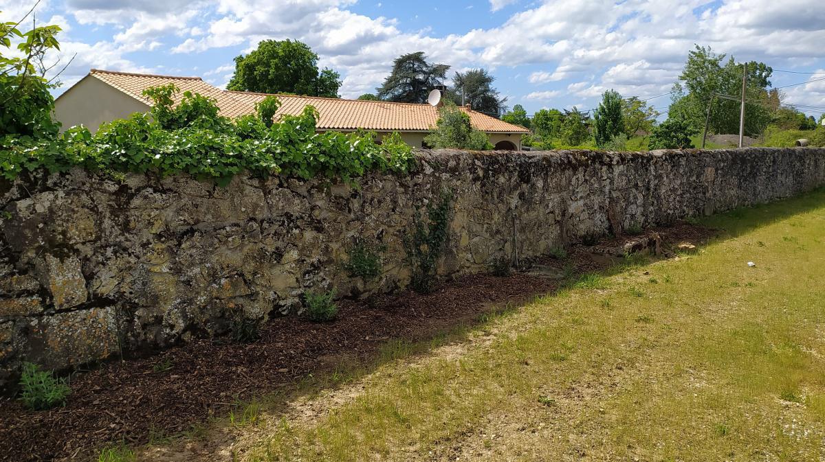 Aménagement progressif paysager du Cimetière de Rions Aménagement progressif paysager du Cimetière de Rions