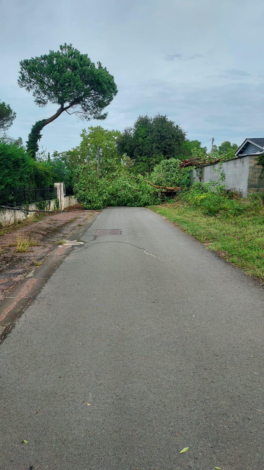 Coupure d'électricité Coupure d'électricité