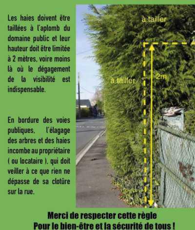 Règlementation Règlementation