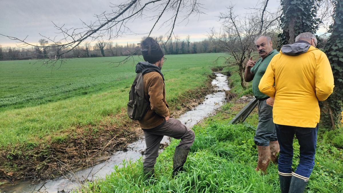 Curage du Nau Curage du Nau