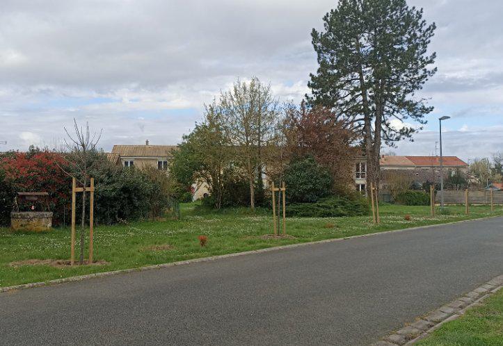 Remettre le végétal et la biodiversité au coeur de notre commune rurale  Remettre le végétal et la biodiversité au coeur de notre commune rurale