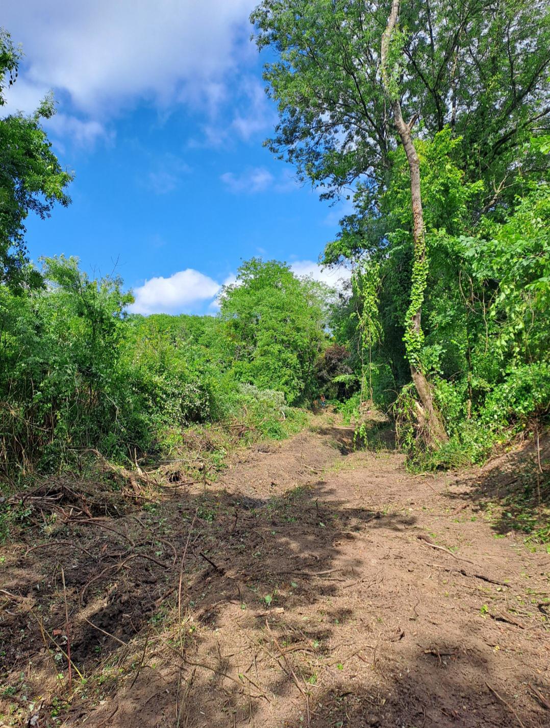 Réouverture d'un chemin communal