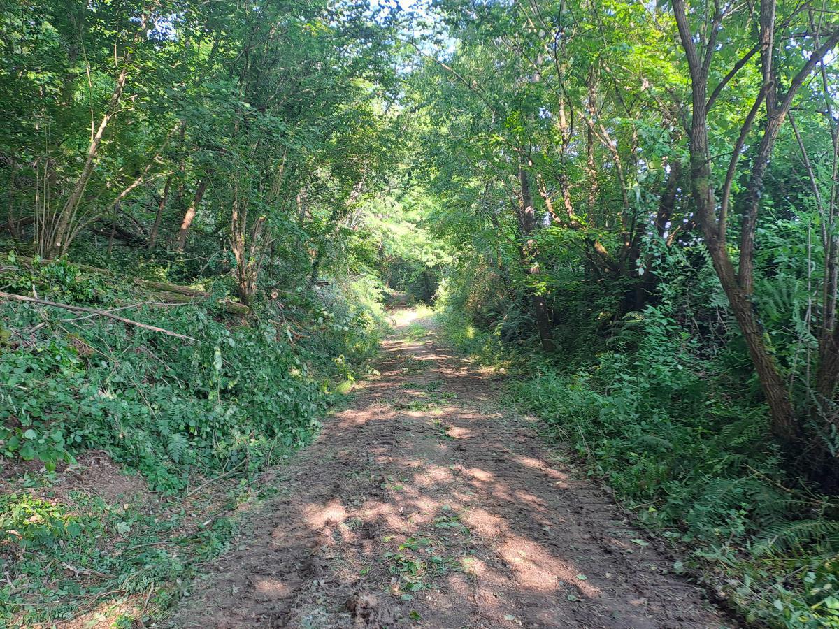 Restauration du chemin de Juignac Restauration du chemin de Juignac