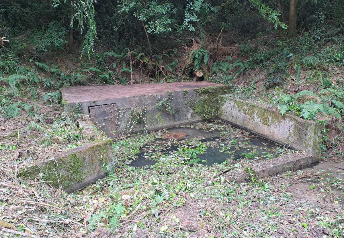 Nettoyage de la source de Cardonne Nettoyage de la source de Cardonne