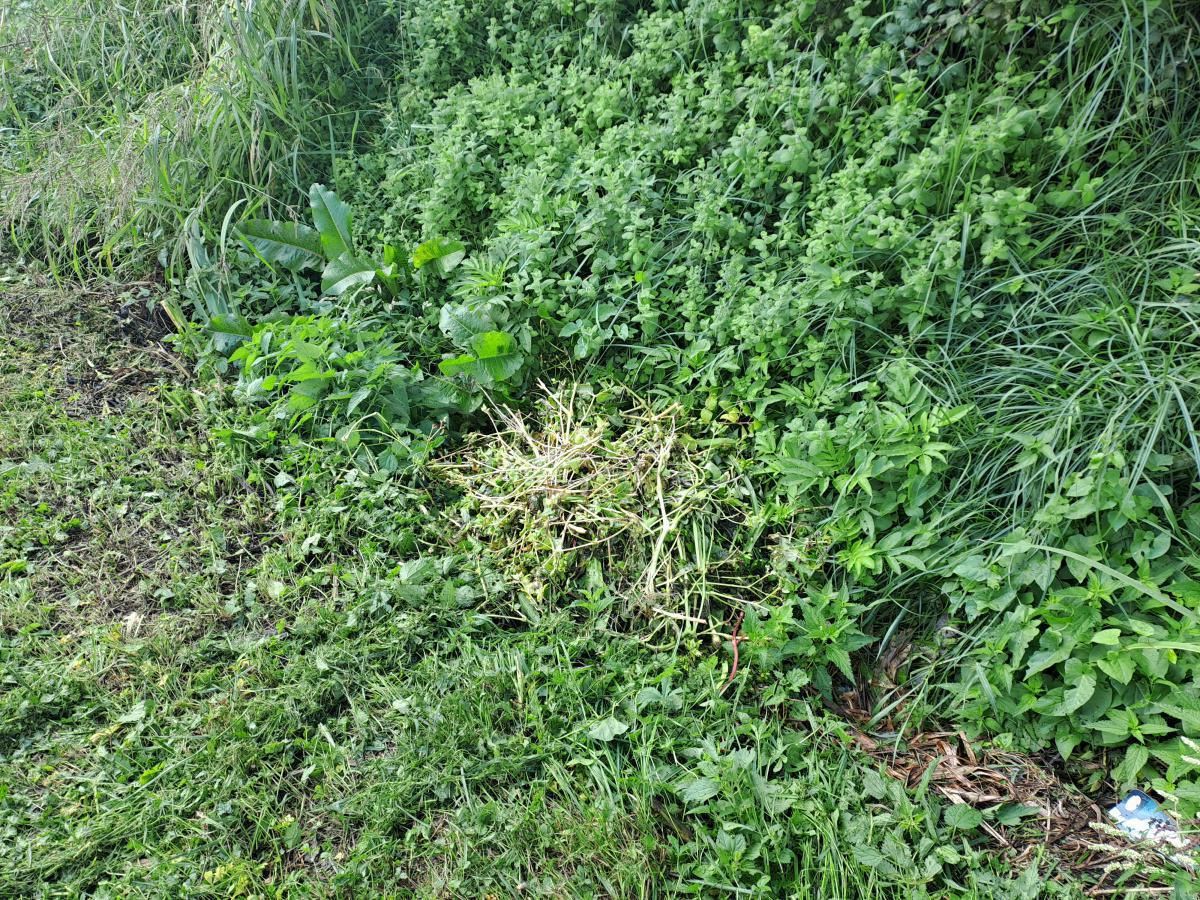 Maintenance des fossés Maintenance des fossés