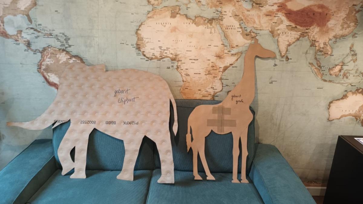 Le Carnaval de Rions Le Carnaval de Rions