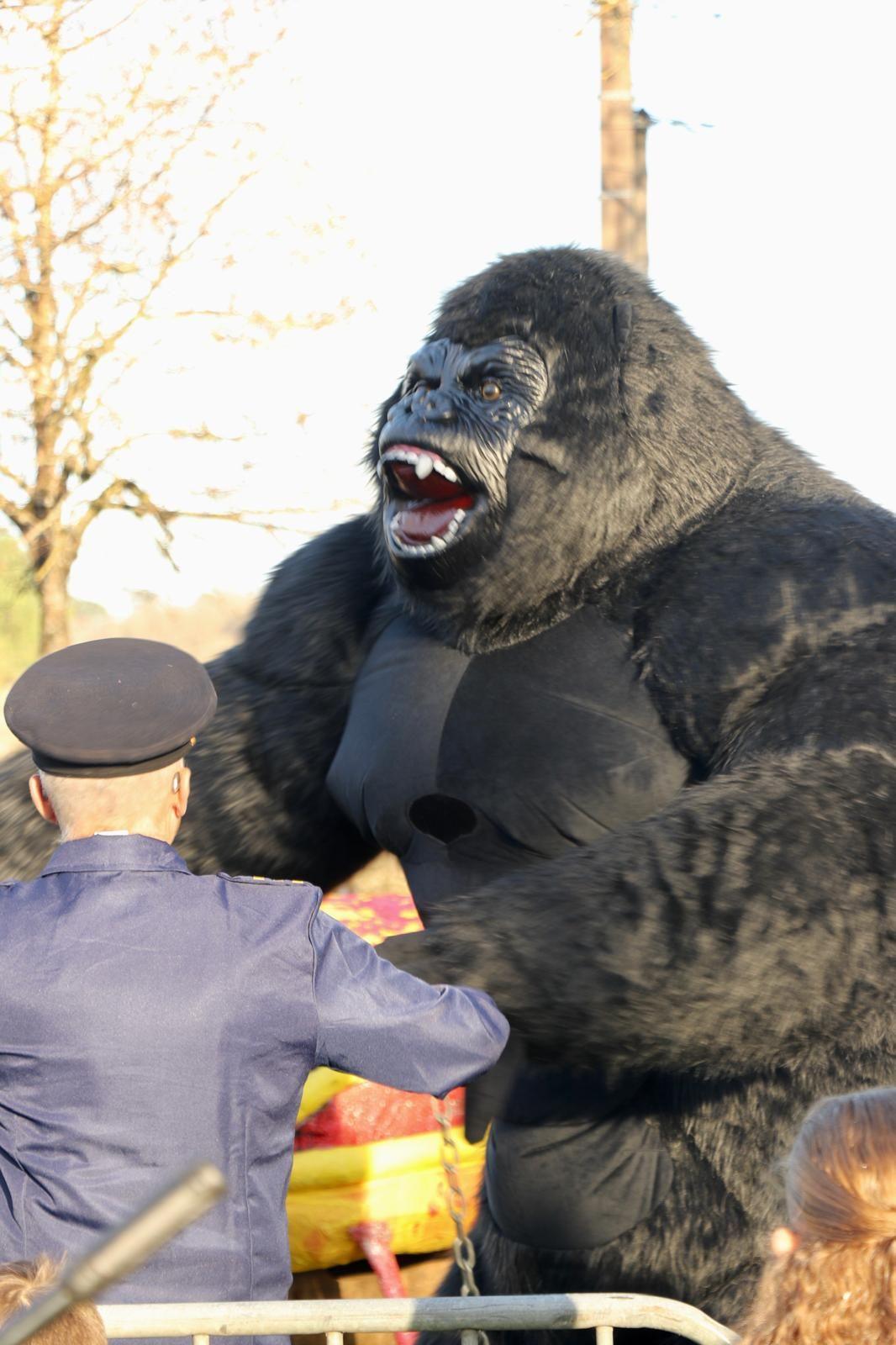 Le Carnaval de Rions