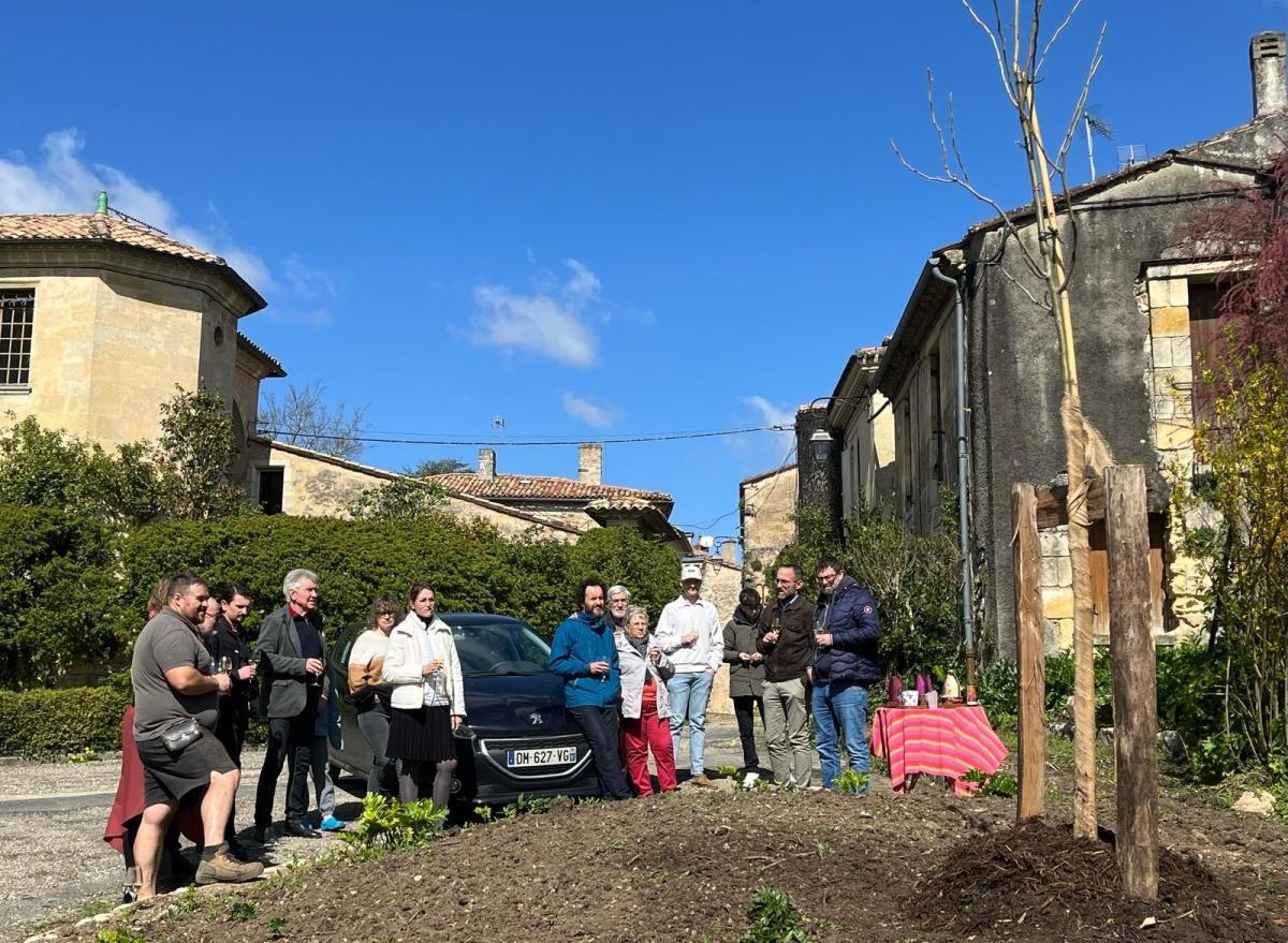 Plantation d'un arbre Place Jarry Plantation d'un arbre Place Jarry