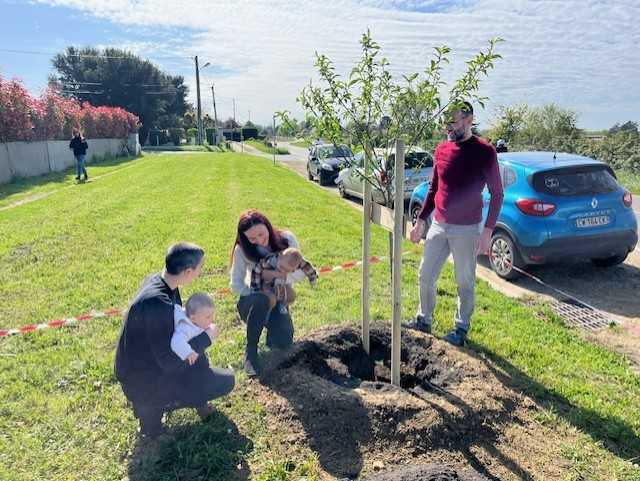 Plantation d'arbres fruitiers