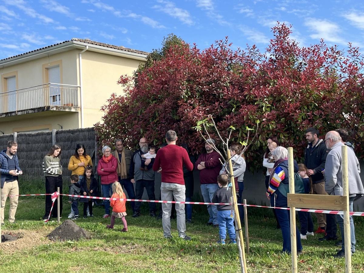 Plantation d'arbres fruitiers