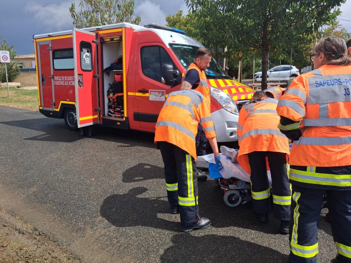 Tenir son chien, un enjeu de sécurité de la voie publique Tenir son chien, un enjeu de sécurité de la voie publique