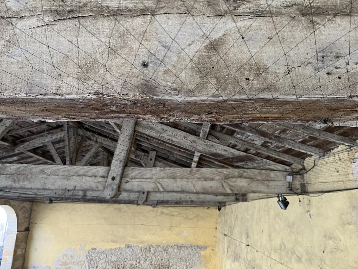 Protection de la Halle aux petits pois