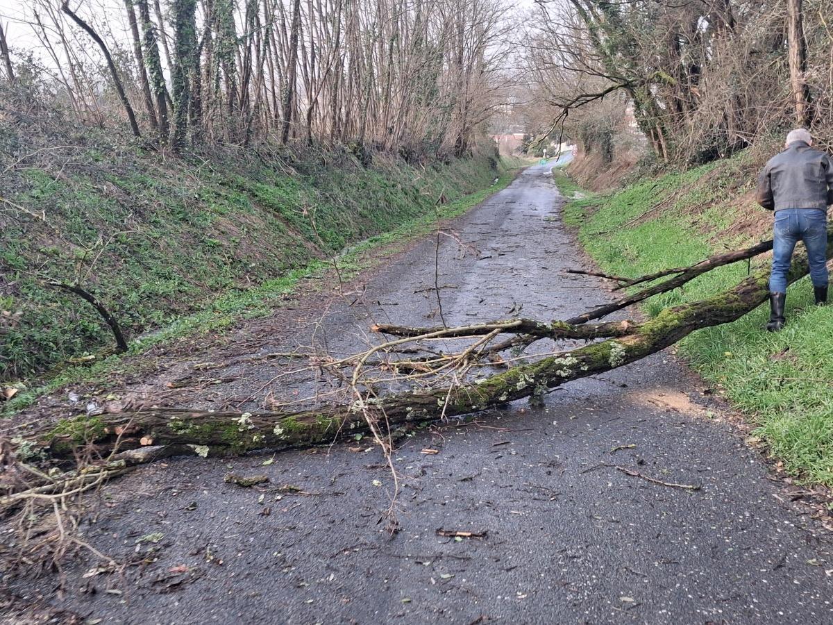 Premières constatations suite à la tempête 