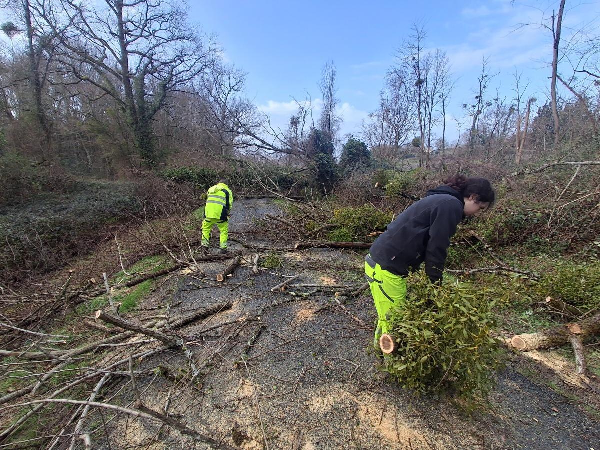 Premières constatations suite à la tempête Premières constatations suite à la tempête