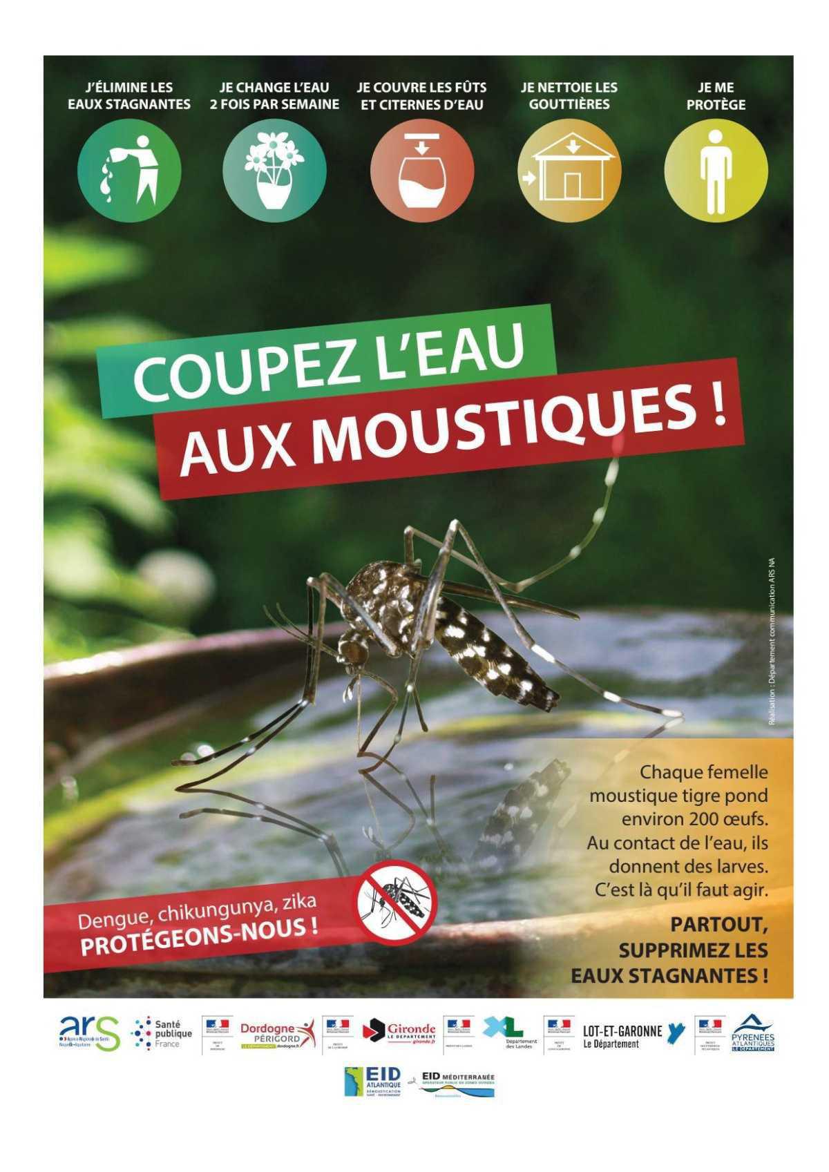 Atelier "Moustique Tigre", devant la salle polyvalente