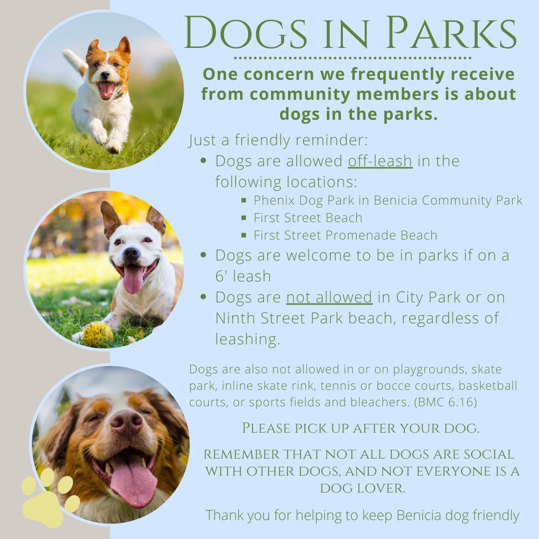 Dogs in Parks