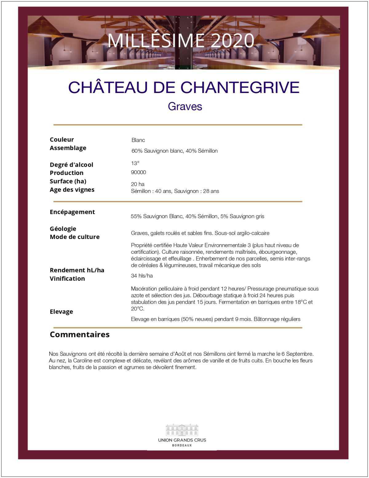 Château de Chantegrive - Blanc